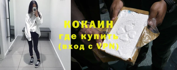 PSILOCYBIN Вязники